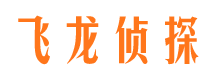 沈丘寻人公司